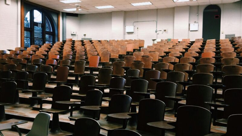 Rekrutacja letnia na studia – jakie kierunki są najbardziej przyszłościowe?