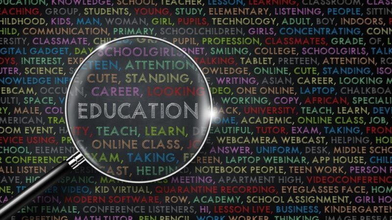 Krótkie ciekawostki naukowe: Fascynujące fakty o edukacji