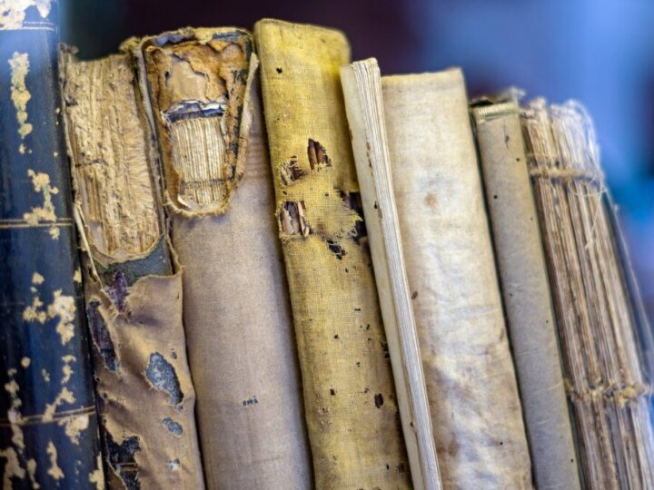 Podręczniki do historii w klasie 7: Kluczowe zmiany i nowości