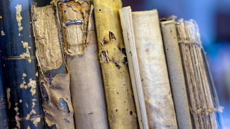 Podręczniki do historii w klasie 7: Kluczowe zmiany i nowości